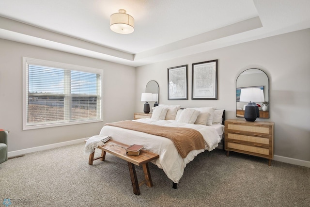 17917 Hayes Ave, Lakeville, MN 55044 - bedroom with baseboards, carpet floors, and a raised ceiling