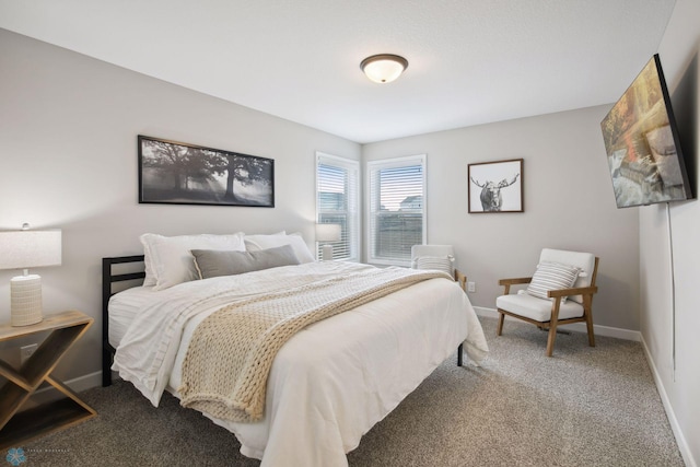 17917 Hayes Ave, Lakeville, MN 55044 - bedroom featuring baseboards and carpet flooring