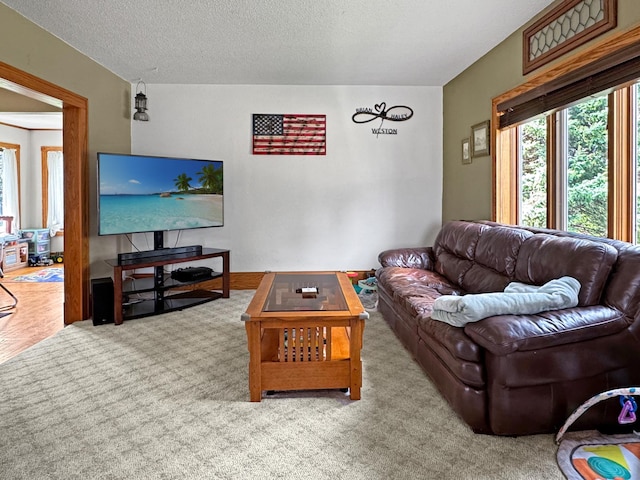 27636 330th Ave, Westbrook, MN 56183 - photo 11