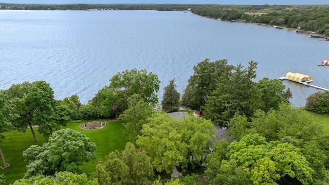 547 Harrington Rd, Wayzata, MN 55391 - aerial view of a large body of water