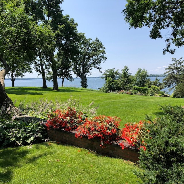 547 Harrington Rd, Wayzata, MN 55391 - view of green lawn featuring a water view