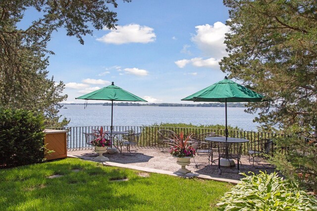 547 Harrington Rd, Wayzata, MN 55391 - photo 12