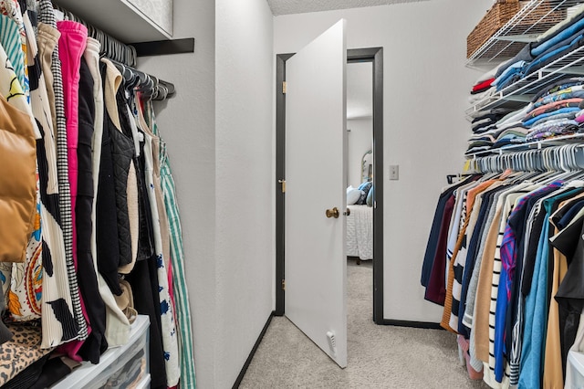 spacious closet featuring carpet flooring