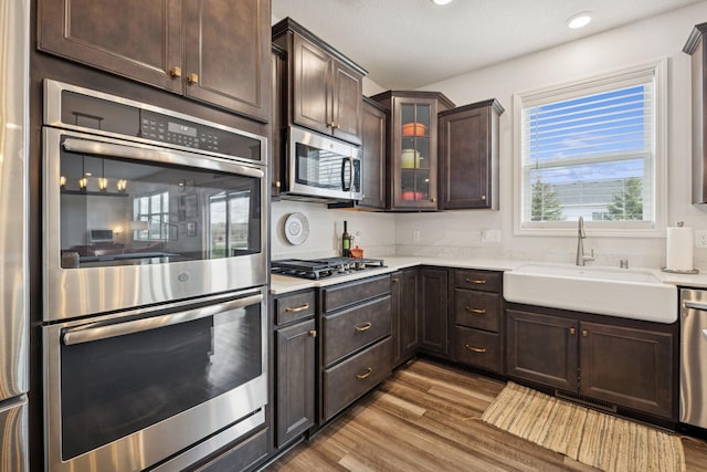 12985 Legacy Creek Pkwy NE, Blaine, MN 55449 - kitchen with stainless steel appliances, a sink, wood finished floors, dark brown cabinetry, and recessed lighting