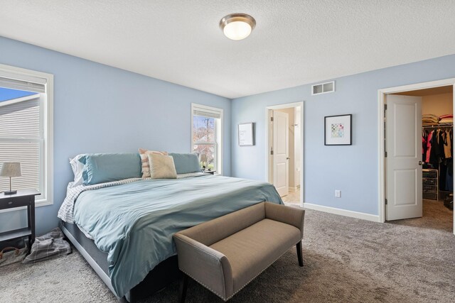12985 Legacy Creek Pkwy NE, Blaine, MN 55449 - bedroom with carpet floors, a spacious closet, baseboards, and a textured ceiling