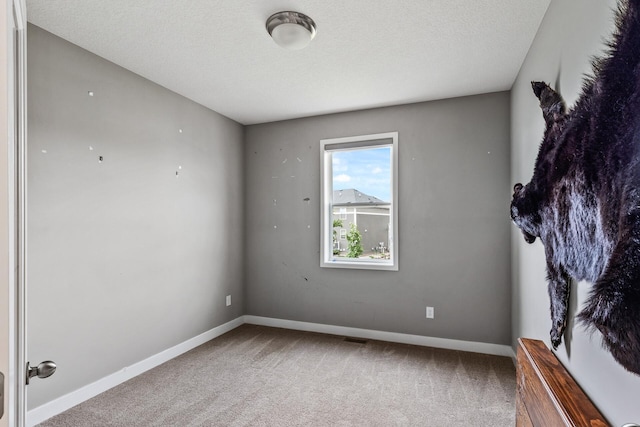 1226 Maple Ln, Carver, MN 55315 - photo 23