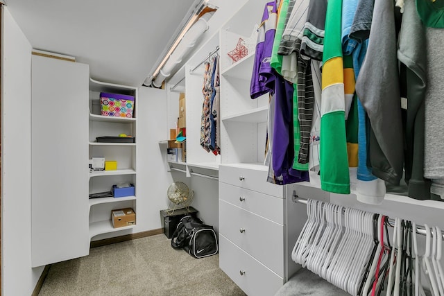 view of walk in closet