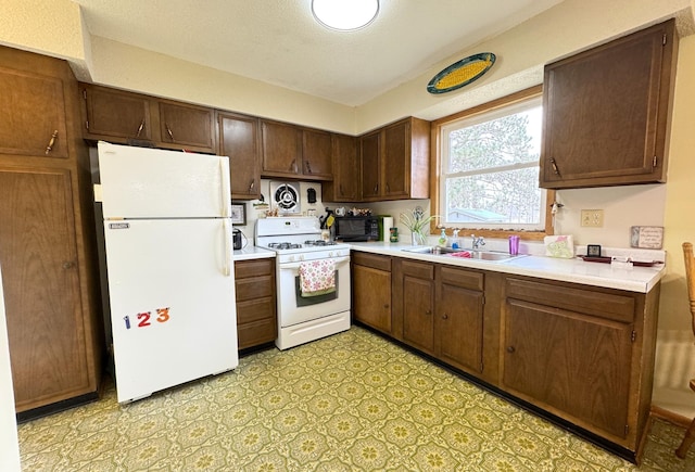 kitchen featuring a sink, white appliances, light floors, dark brown cabinetry, and light countertops