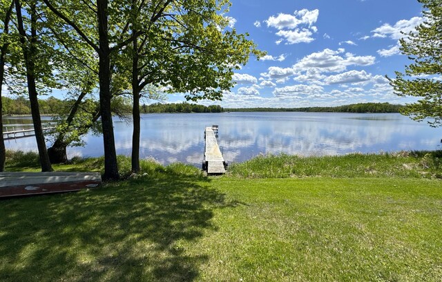 36777 311th Ln, Aitkin, MN 56431 - water view