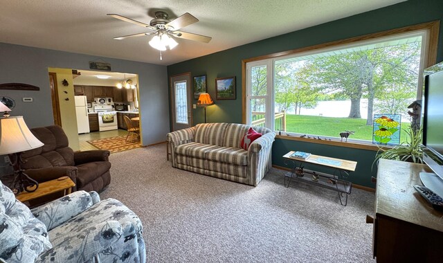 36777 311th Ln, Aitkin, MN 56431 - living room featuring a ceiling fan, carpet, baseboards, and a textured ceiling