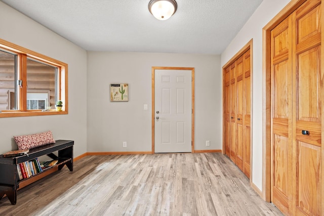 631 Pheasant Run, Winsted, MN 55395 - entryway with light wood-type flooring, baseboards, and a textured ceiling