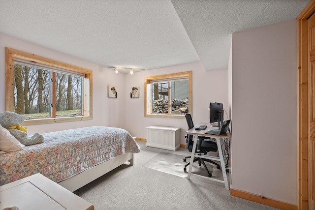 631 Pheasant Run, Winsted, MN 55395 - bedroom featuring an office area, carpet flooring, multiple windows, a textured ceiling, and baseboards