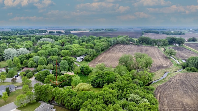 631 Pheasant Run, Winsted, MN 55395 - overview of rural landscape with farmland