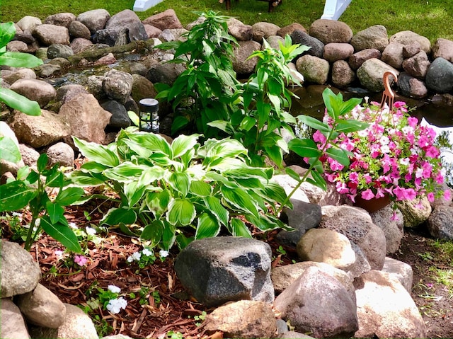 631 Pheasant Run, Winsted, MN 55395 - exterior view of a garden pond