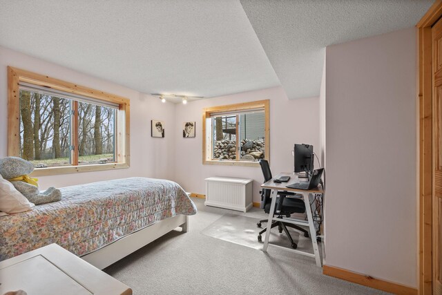 631 Pheasant Run, Winsted, MN 55395 - bedroom featuring an office area, carpet, multiple windows, a textured ceiling, and baseboards