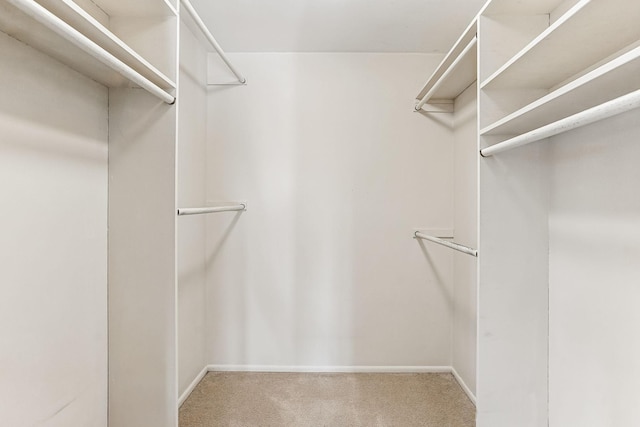 5411 Southwood Dr, Bloomington, MN 55437 - walk in closet featuring carpet