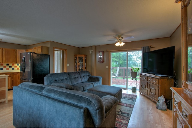 895 334th Ave NE, Cambridge, MN 55008 - living area featuring light wood-style floors and a ceiling fan