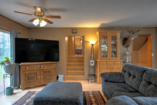 895 334th Ave NE, Cambridge, MN 55008 - living area with a textured ceiling, stairway, a ceiling fan, and light wood finished floors