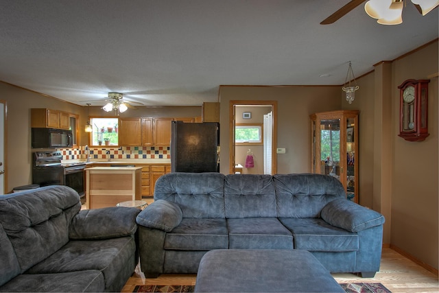 895 334th Ave NE, Cambridge, MN 55008 - living area featuring ceiling fan, plenty of natural light, and light wood-type flooring