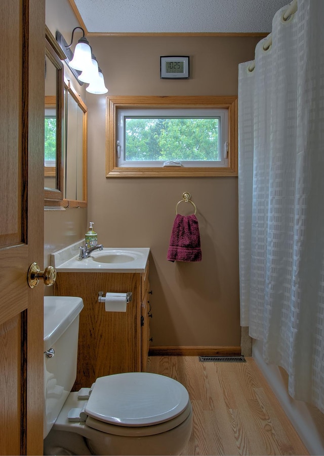 895 334th Ave NE, Cambridge, MN 55008 - bathroom featuring toilet, vanity, a shower with curtain, and wood finished floors