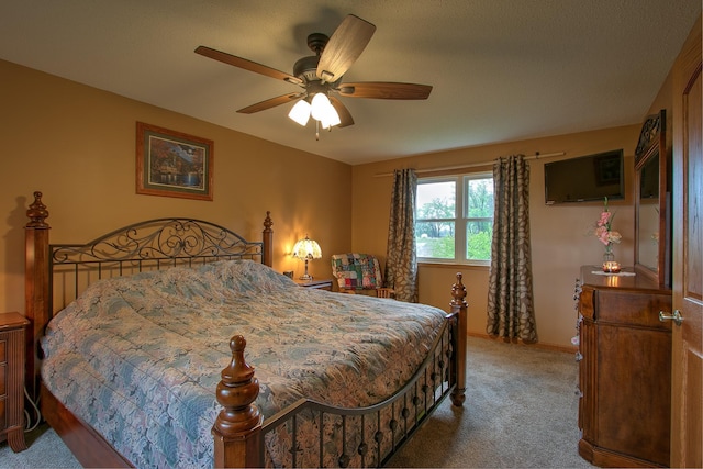 895 334th Ave NE, Cambridge, MN 55008 - bedroom with carpet and ceiling fan