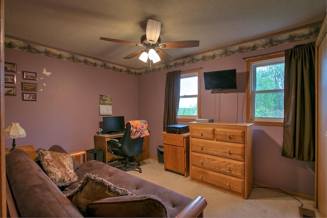 895 334th Ave NE, Cambridge, MN 55008 - office space featuring light carpet, ceiling fan, and a textured ceiling