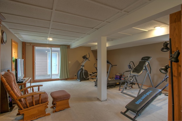 895 334th Ave NE, Cambridge, MN 55008 - exercise area featuring light colored carpet