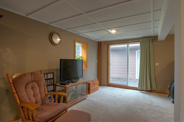 895 334th Ave NE, Cambridge, MN 55008 - living area with carpet and baseboards