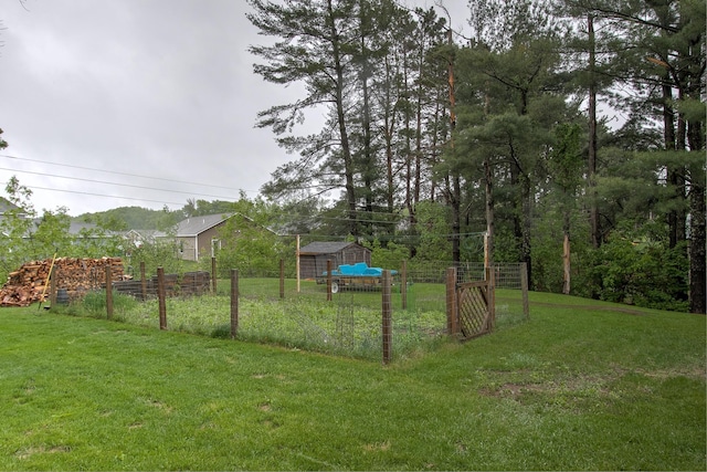 895 334th Ave NE, Cambridge, MN 55008 - view of yard featuring a vegetable garden