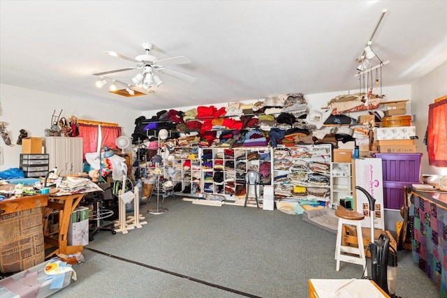 storage room featuring ceiling fan