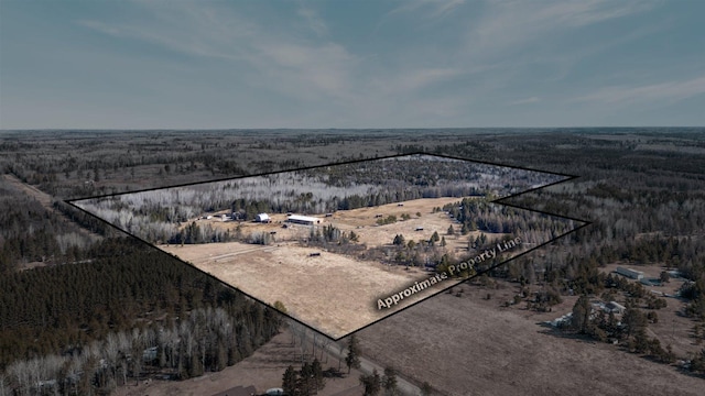 bird's eye view featuring a view of trees