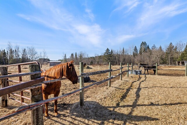 view of yard with a rural view