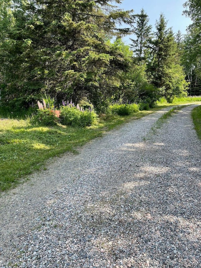 7500 Northfield Rd, Pike Twp, MN 55732 - view of street