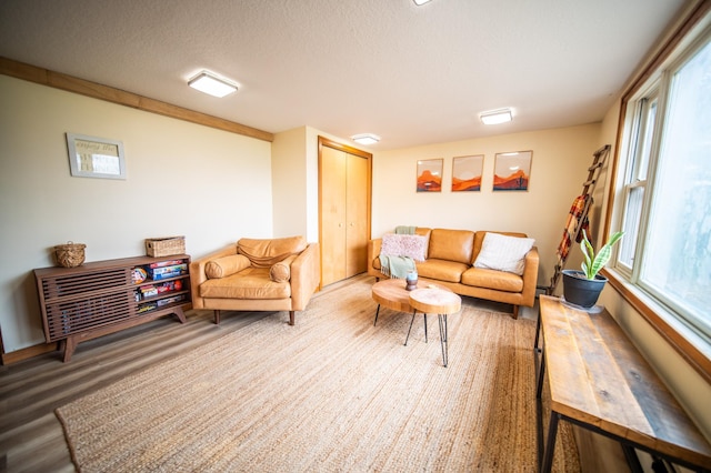 1474 Aldrich Ct, Faribault, MN 55021 - living area with a textured ceiling, a healthy amount of sunlight, and wood finished floors