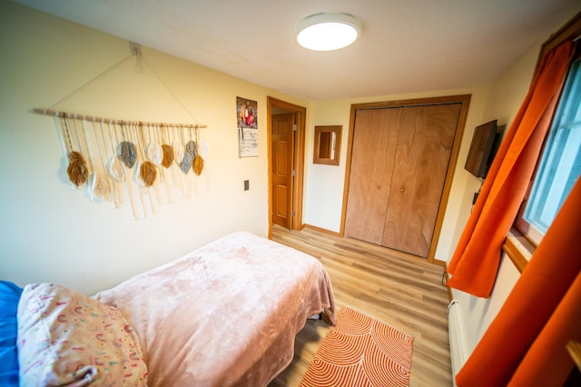 1474 Aldrich Ct, Faribault, MN 55021 - bedroom with light wood finished floors and a closet
