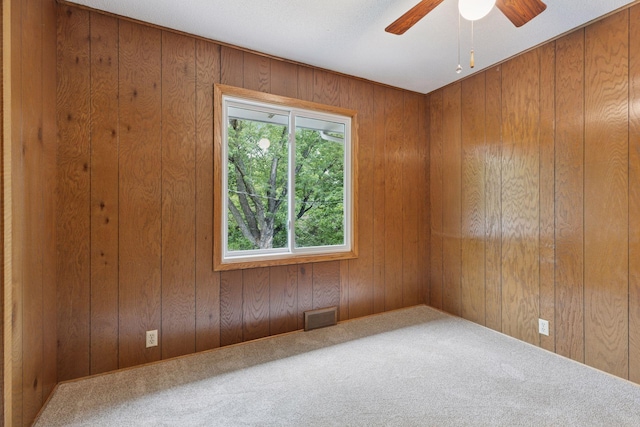 13982 Mount Ter, Minnetonka, MN 55345 - empty room with carpet, ceiling fan, and wood walls