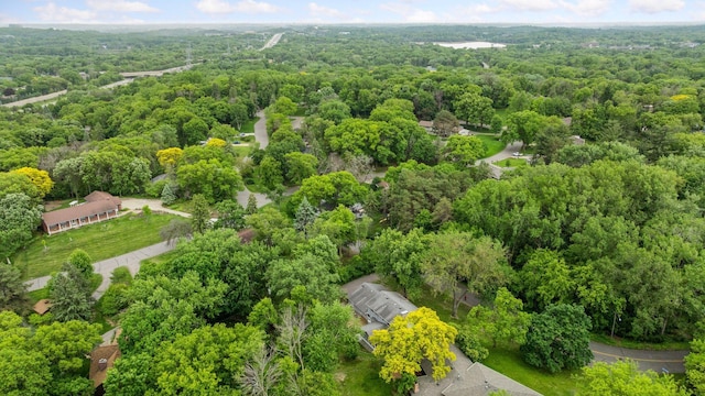 13982 Mount Ter, Minnetonka, MN 55345 - aerial view of a forest