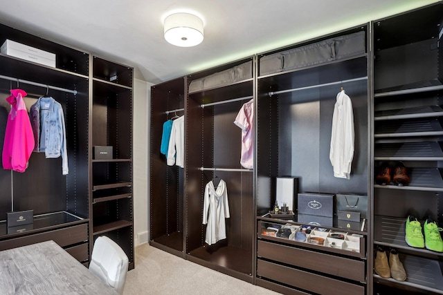 spacious closet with carpet flooring