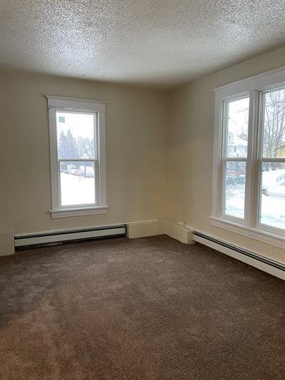 spare room with a baseboard heating unit, a textured ceiling, and a wealth of natural light