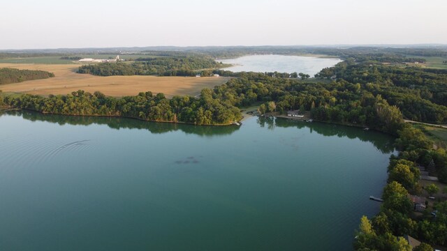drone / aerial view with a water view and a view of trees