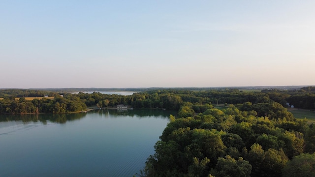 property view of water with a forest view