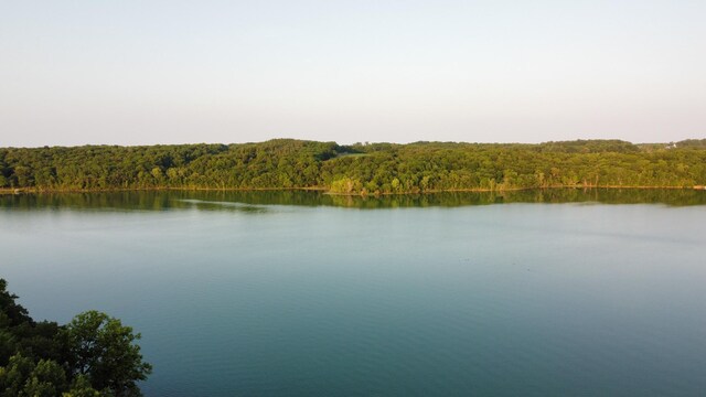 property view of water featuring a view of trees