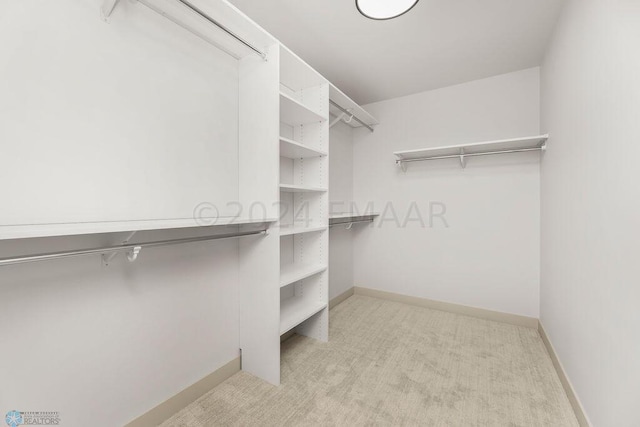 8851 Northern Lights Ave, Horace, ND 58047 - walk in closet with carpet