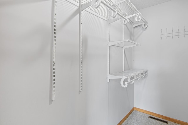 spacious closet with visible vents