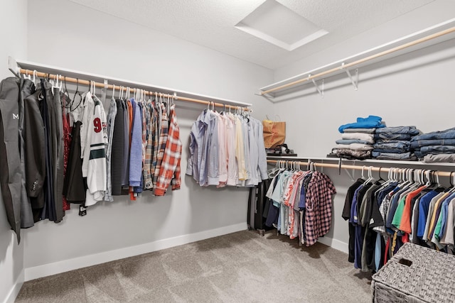 7371 Kalland Cir NE, Otsego, MN 55301 - spacious closet featuring carpet
