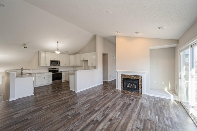 7615 Elm Grove Ave Unit 612, New Hope, MN 55428 - unfurnished living room with a sink, baseboards, a fireplace, a textured ceiling, and dark wood-style flooring