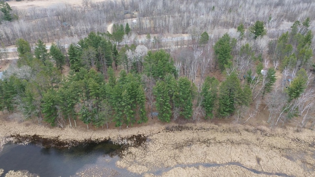 TBD Miller Bay Lane, Hackensack, MN 56452 - photo 3