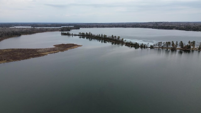 TBD Miller Bay Lane, Hackensack, MN 56452 - photo 4
