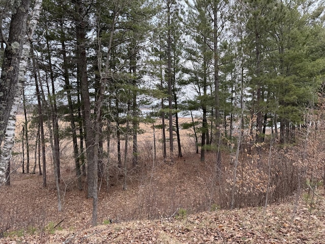 TBD Miller Bay Lane, Hackensack, MN 56452 - photo 13