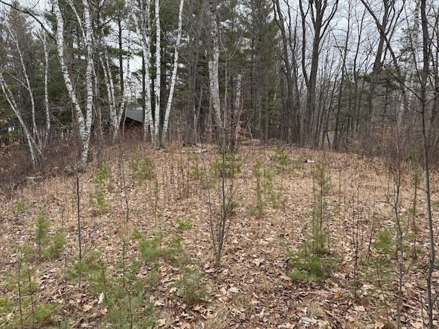 TBD Miller Bay Lane, Hackensack, MN 56452 - photo 14